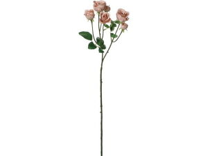 YDM/ RtH[g~jK[f[Y x[W YDMilfBXvC~[WAj FD-0130BE