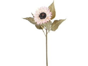 YDM/ Sbzq} zCgsN YDMilfBXvC~[WAj FS-8349W/P