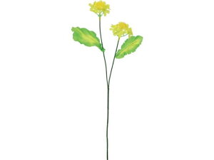 YDM/ imni CG[ YDMilfBXvC~[WAj FS-5404-Y