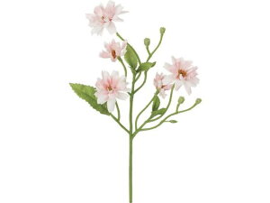 YDM/ RIvVX zCgsN YDMilfBXvC~[WAj FFH-0054-W/P