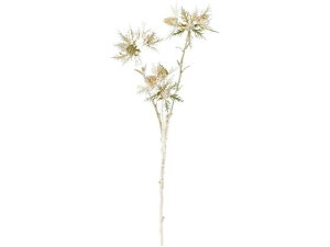 YDM/ uAgGWEXv[ S[h YDMilfBXvC~[WAj FS-6123-GO