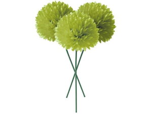 YDM/ s|}sbN O[ YDMilfBXvC~[WAj FB -2586-GR