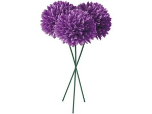 YDM/ s|}sbN p[v YDMilfBXvC~[WAj FB -2586-PU