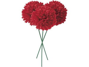 YDM/ s|}sbN bh YDMilfBXvC~[WAj FB -2586-R