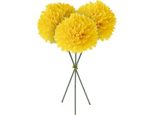 YDM/ s|}sbN CG[ YDMilfBXvC~[WAj FB -2586-Y