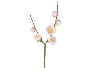 YDM/ EsbN YDMilfBXvC~[WAj FS -5376-P