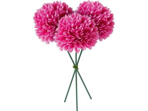 YDM/ s|}sbN r[eB[ YDMilfBXvC~[WAj FB -2586-BTY