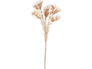 YDM/ hCCXt[sbN N[ YDMilfBXvC~[WAj FG -5121-CR