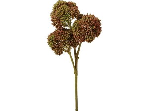 YDM/ I_Z_sbN BUR YDMilfBXvC~[WAj FG -5110-BUR