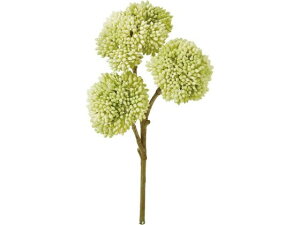 YDM/ I_Z_sbN GR YDMilfBXvC~[WAj FG -5110-GR