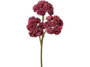 YDM/ I_Z_sbN WI YDMilfBXvC~[WAj FG -5110-WI