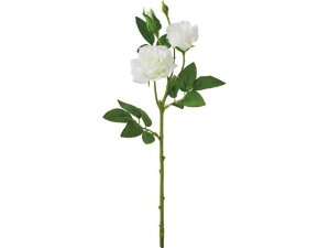 YDM/ _[YXv[ W YDMilfBXvC~[WAj FA -7302-W