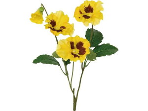 YDM/ pW[Xv[ CG[ YDMilfBXvC~[WAj FS-7894-Y