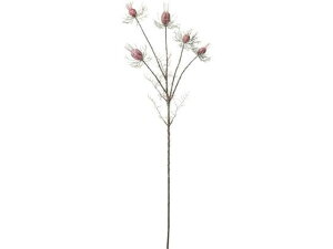 YDM/ jQV[hXv[ YDMilfBXvC~[WAj FG -5034-WI