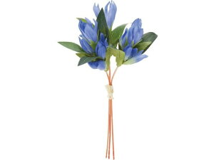 YDM/ hEoh u[ YDMilfBXvC~[WAj FS-8306-BLU