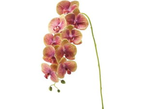 YDM/ R`E O[x_[ YDMilfBXvC~[WAj FA-7203-G/L