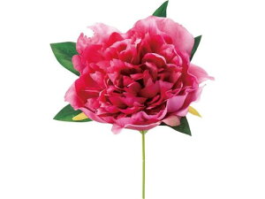 YDM/ sIj[sbN r[eB[ YDMilfBXvC~[WAj FA-7258-BTY