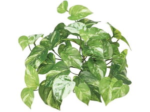 YDM/ }[u|gXubV O[ YDMilfBXvC~[WAj GL-5209-GR