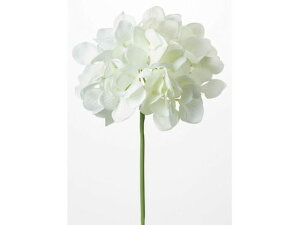 YDM/ nChWAsbN zCg YDMilfBXvC~[WAj FA-7163-W