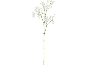 YDM/ JX~Xv[ zCg YDMilfBXvC~[WAj FA-7223-W