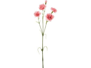 YDM/ J[l[VXv[ sN YDMilfBXvC~[WAj FA-7264-P