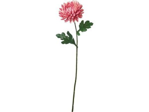 YDM/ ae YDMilfBXvC~[WAj FA-7199P