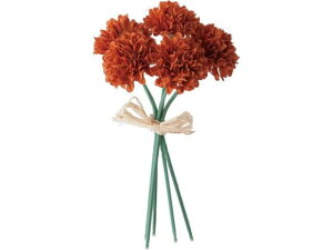 YDM/ ~js|}sbN YDMilfBXvC~[WAj FB-2346BR