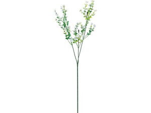 YDM/ JX~Xv[ zCg YDMilfBXvC~[WAj FF -2925-W