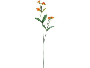 YDM/ Zj`RE IW YDMilfBXvC~[WAj FF -2928-OR