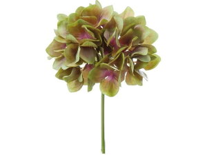 YDM/ nChWAsbN O[bh YDMilfBXvC~[WAj FA-7163-G/R