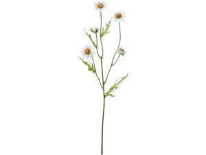 YDM/ }[KbgXv[ zCg YDMilfBXvC~[WAj FA-7137-W