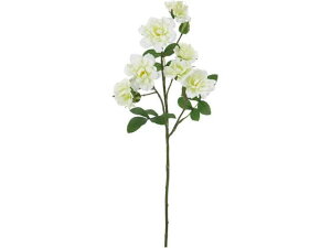 YDM/ tA[YXv[ zCgO[ YDMilfBXvC~[WAj FA-7149-W/G