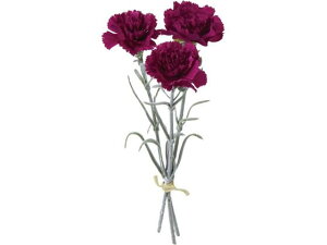 YDM/ J[l[Vo` p[v YDMilfBXvC~[WAj FB-2464-PU