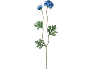 YDM/ tbtB[iLX u[ YDMilfBXvC~[WAj FA-7056-BL