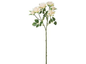 YDM/ ~j[YXv[ N[ YDMilfBXvC~[WAj FA-7151-CR