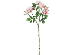 YDM/ ~j[YXv[ N[sN YDMilfBXvC~[WAj FA-7151-CRP