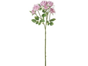 YDM/ ~j[YXv[ x_[ YDMilfBXvC~[WAj FA-7151-LAV