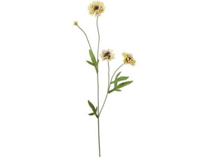 YDM/ {^jJO}\E O[x_[ YDMilfBXvC~[WAj FA-7109-G/L