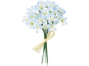 ���� �p�X�e���t�����[�s�b�N #5 �u���[�z���C�g 6�{ ������ FM002160-005