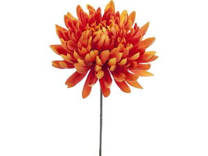 YDM/ dˋesbN IW YDMilfBXvC~[WAj FA-7121-OR