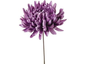 YDM/ dˋesbN p[v YDMilfBXvC~[WAj FA-7121-PU