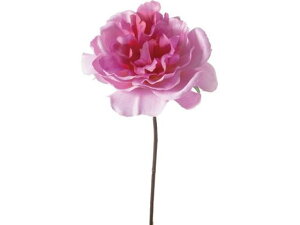 YDM/ d˃{^sbN x_[ YDMilfBXvC~[WAj FA-7122-LAV