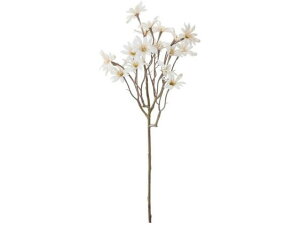 YDM/ hCf[W[Xv[ N[ YDMilfBXvC~[WAj FA-7112-CR