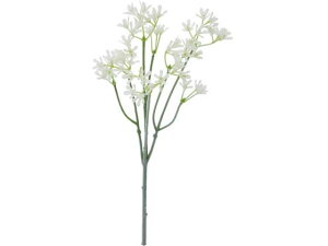 YDM/ xr[uX zCg YDMilfBXvC~[WAj FFH-0005-W