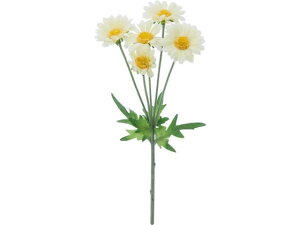 YDM/ fCW[ CG[ YDMilfBXvC~[WAj FFH-0003-Y