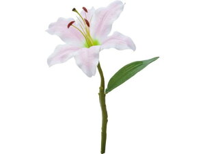 YDM/ JTuJ sN YDMilfBXvC~[WAj FFH-0016-P