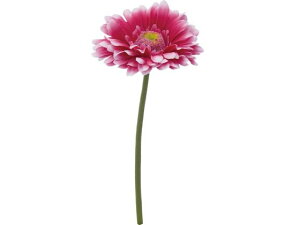 YDM/ K[x AJr[eB[ YDMilfBXvC~[WAj FFH-0019-A/B