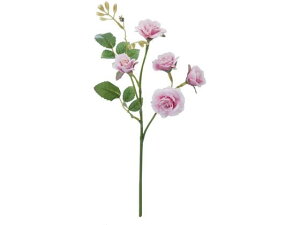 YDM/ XEB[g[Y sN YDMilfBXvC~[WAj FFH-0010-P