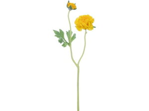 YDM/ t`iLX CG[ YDMilfBXvC~[WAj FFH-0008-Y