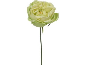 YDM/ K[f[YsbN O[ YDMilfBXvC~[WAj FA7069-GR